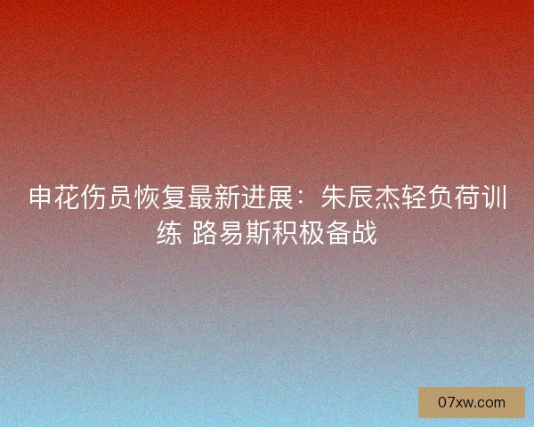 申花伤员恢复最新进展：朱辰杰轻负荷训练 路易斯积极备战