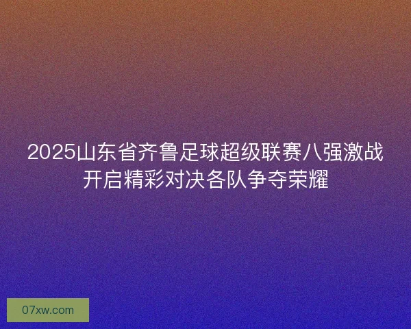 2025山东省齐鲁足球超级联赛八强激战开启精彩对决各队争夺荣耀