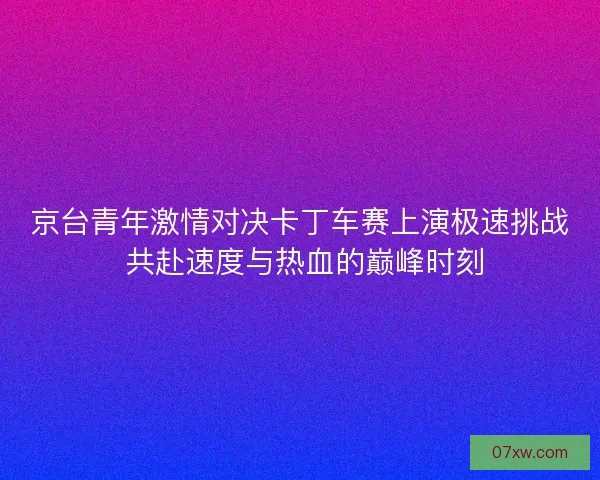 京台青年激情对决卡丁车赛上演极速挑战 共赴速度与热血的巅峰时刻