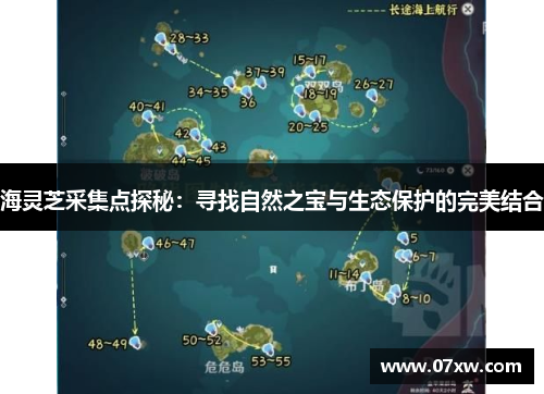 海灵芝采集点探秘：寻找自然之宝与生态保护的完美结合