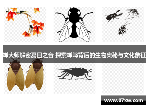 蝉大师解密夏日之音 探索蝉鸣背后的生物奥秘与文化象征